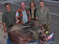 Algunos de los componentes de la cuadrilla 141: Aquilino que mat� seis jabal�s, Chucho, Ivana que mat� 2 y Chico que mat� tambi�n 2