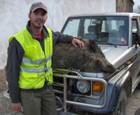 Luis Miguel con uno de los jabal�s que mat�