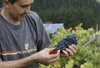 Santi ve compensado con &eacute;ste premio su gran trabajo 
