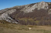 Al fondo, Poda escenario de la romer&iacute;a