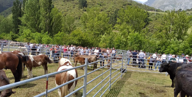 IMG-20220515-WA0004 (2)